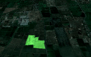 Aeru Farm (Aat RD,Navsari)