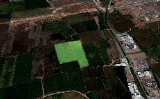 Moro Farm (New City Light RD)